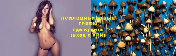 дживик Ладушкин