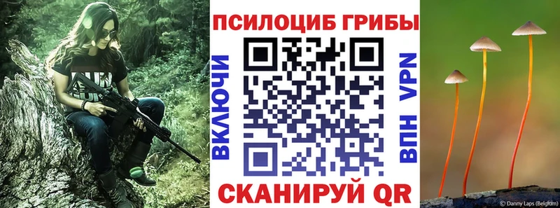 Псилоцибиновые грибы мухоморы  МЕГА ссылки  Малоархангельск 